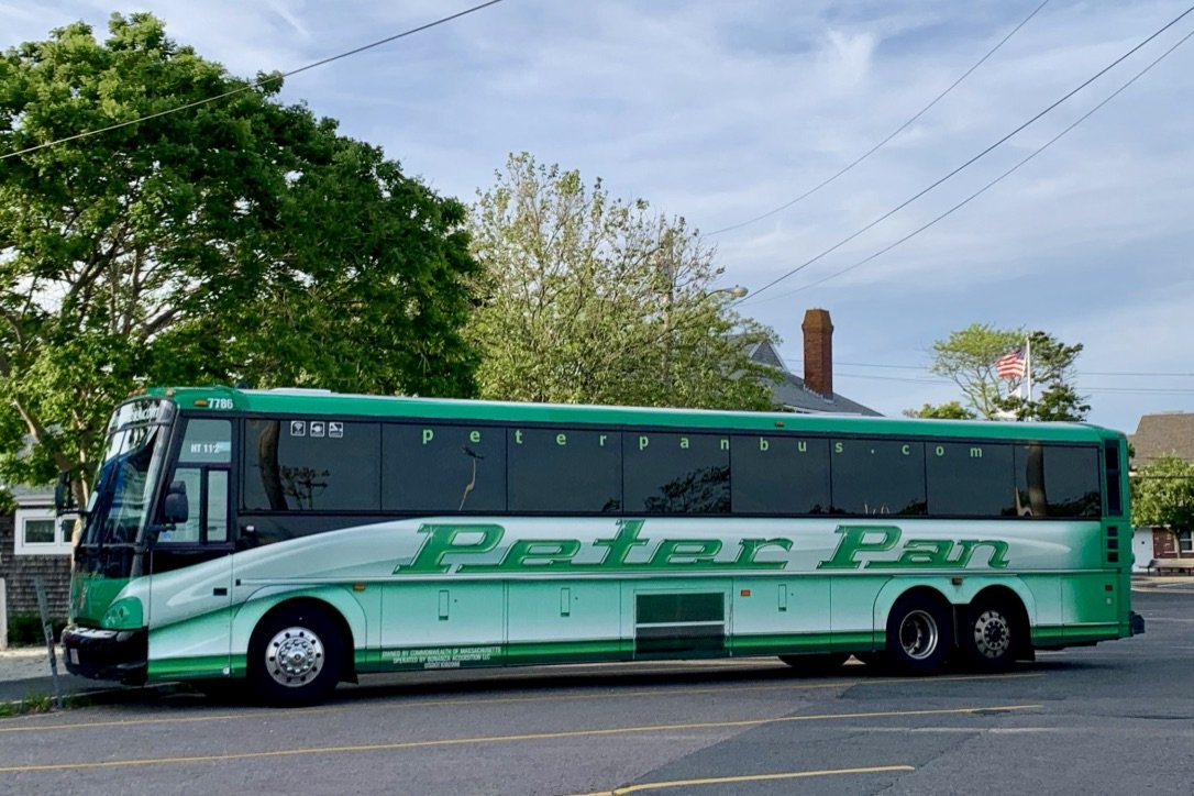  Grüner Reisebus von Peter Pan auf Parkplatz vor grünen Bäumen